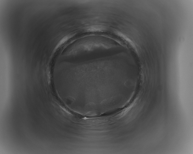 X0000112181306200908141318