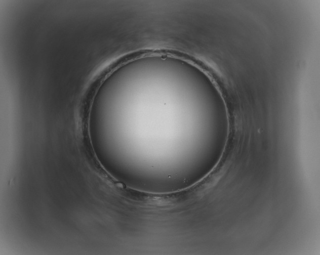 X0000112181311200908141318