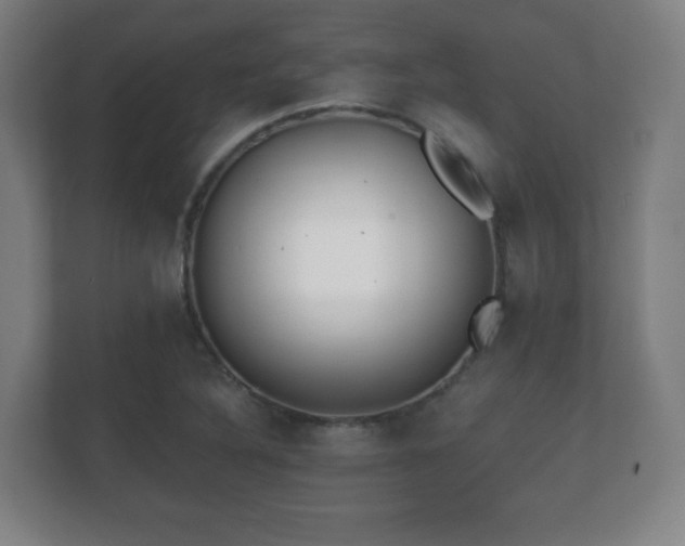 X0000112181316200908141318