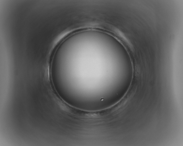 X0000112181320200908141318