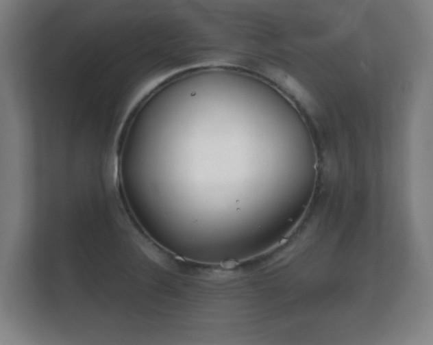 X0000112181324200908141318