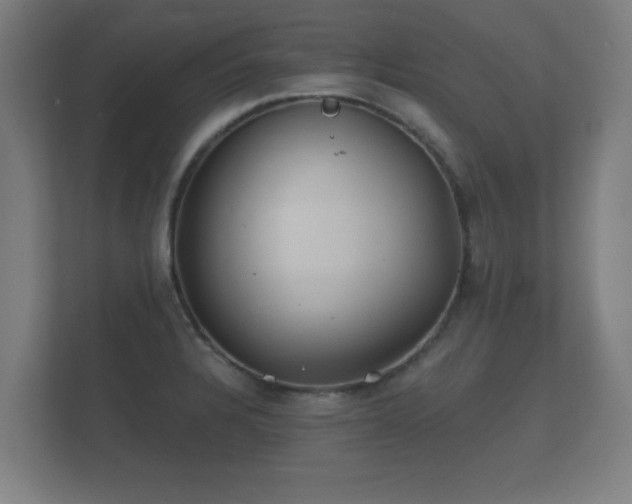 X0000112181328200908141318