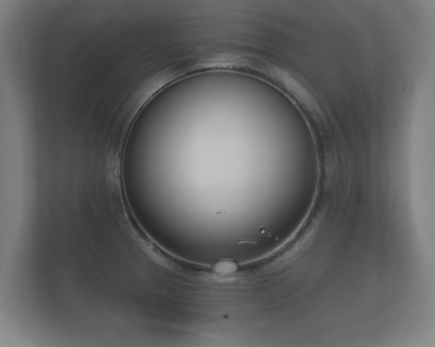 X0000112181329200908141318