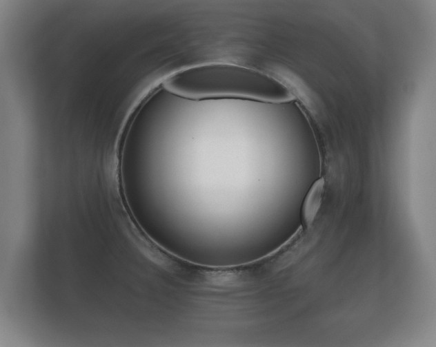 X0000112181332200908141318