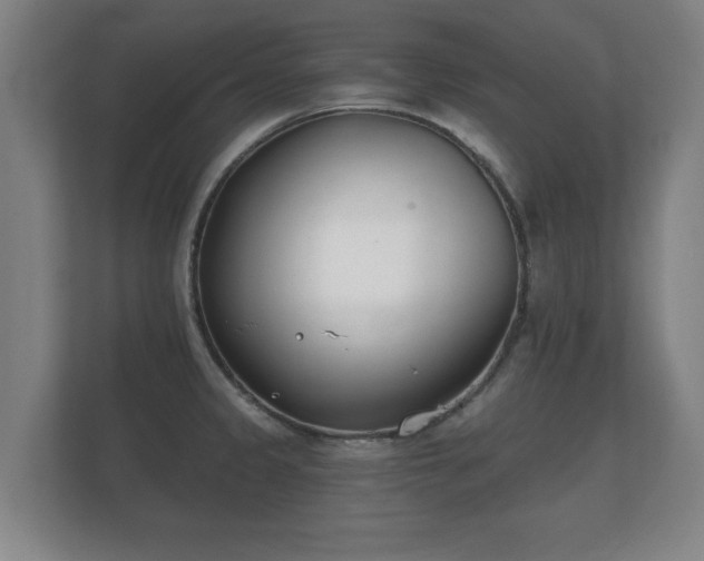 X0000112181333200908141318