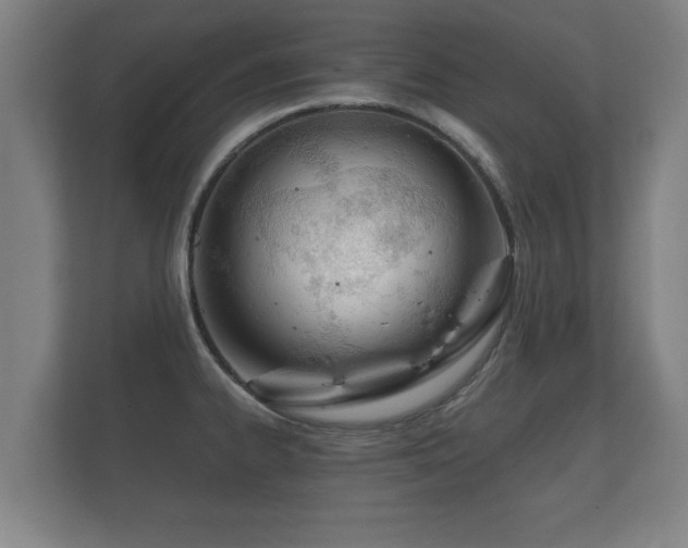 X0000112181334200908141318