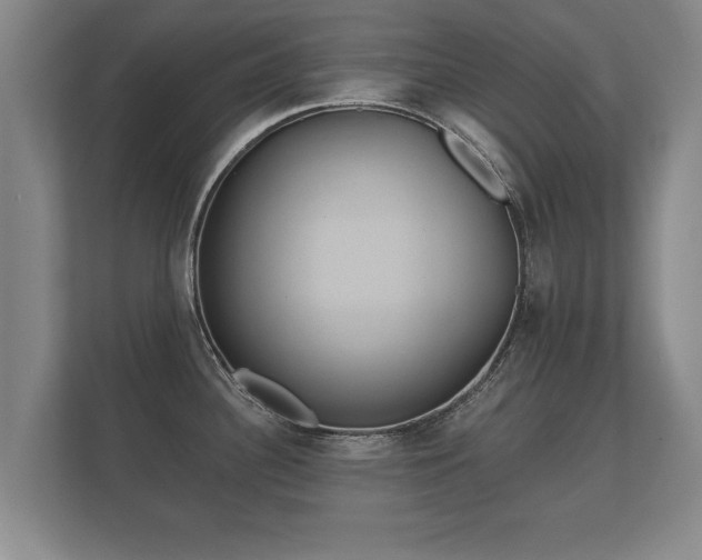 X0000112181340200908141318