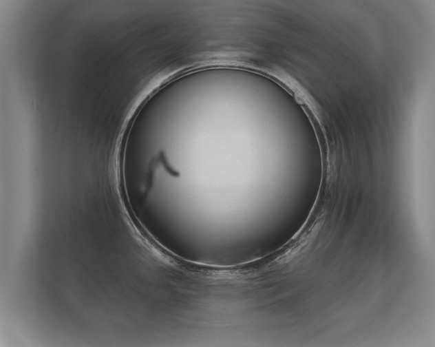 X0000112181341200908141318