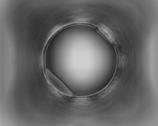 X0000112181342200908141318