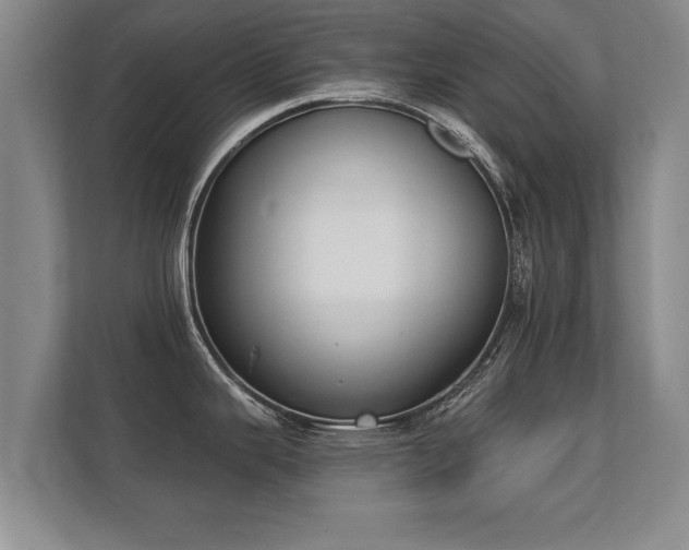 X0000112181343200908141318