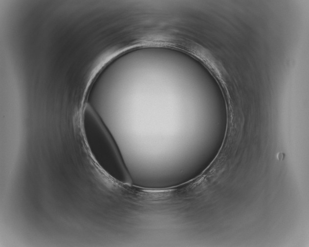 X0000112181344200908141318