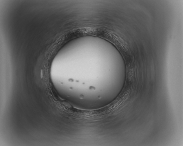 X0000112181345200908141317