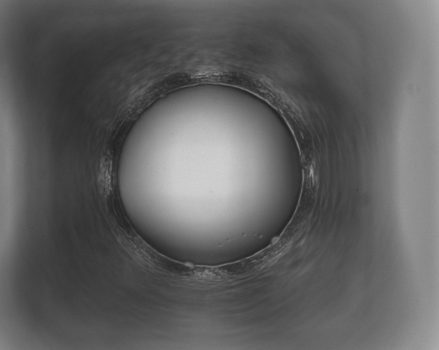 X0000112181348200908141317