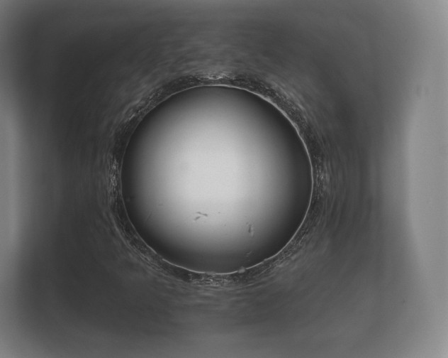 X0000112181349200908141317