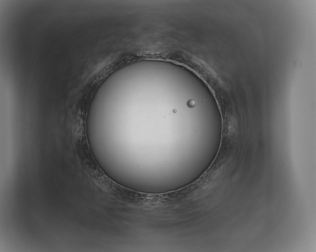 X0000112181350200908141317