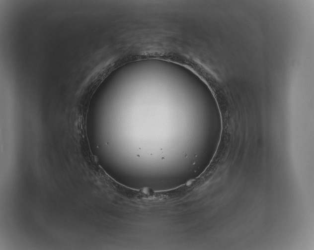 X0000112181351200908141317