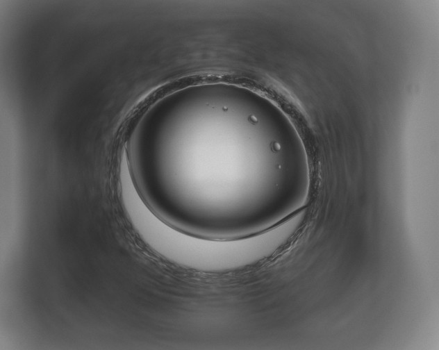 X0000112181352200908141317