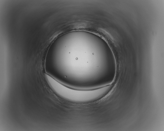 X0000112181353200908141317