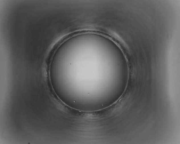 X0000112181360200908141317