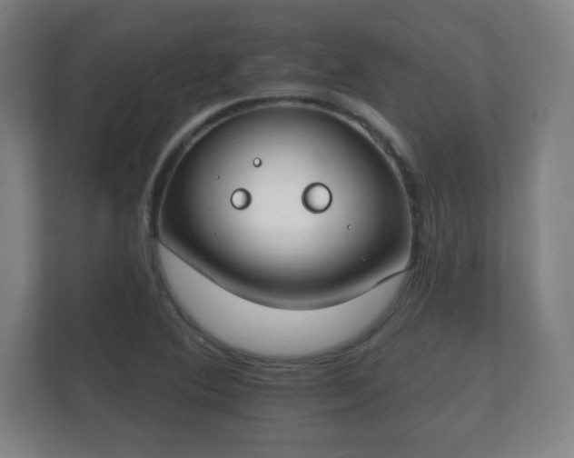 X0000112181364200908141317