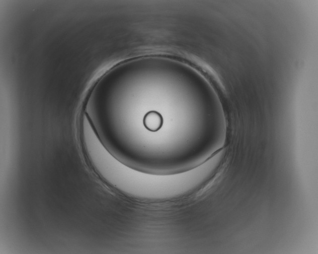 X0000112181365200908141317