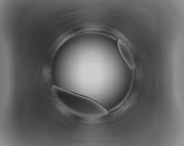 X0000112181369200908141317