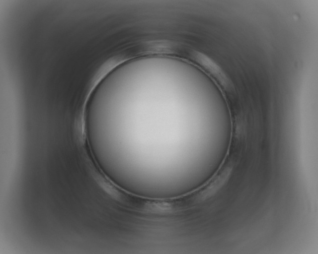 X0000112181370200908141317