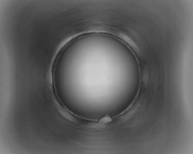 X0000112181372200908141317