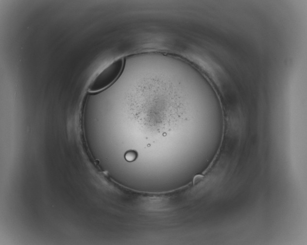 X0000112181373200908141317