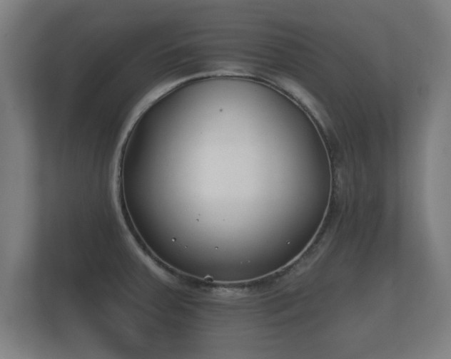 X0000112181379200908141317