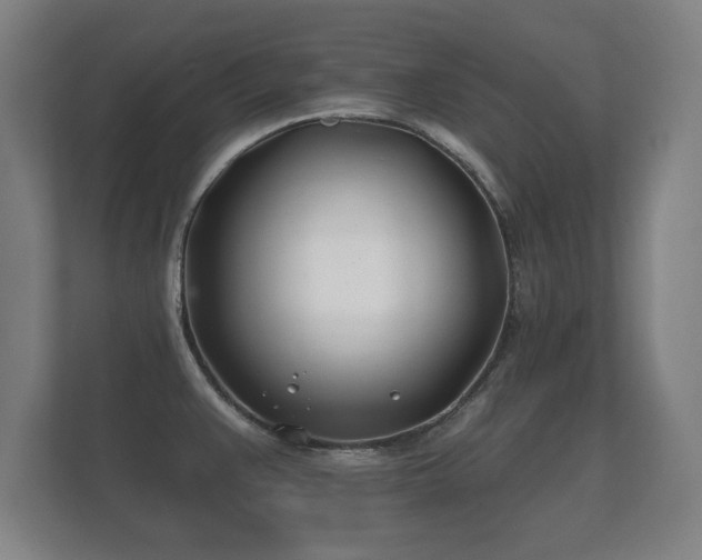 X0000112181383200908141317