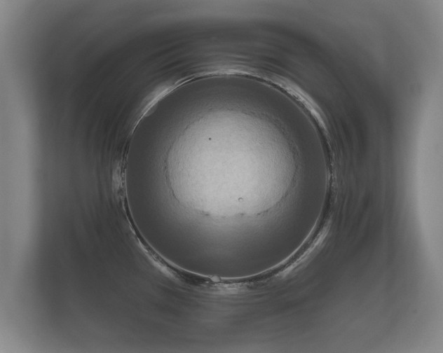 X0000112181385200908141317