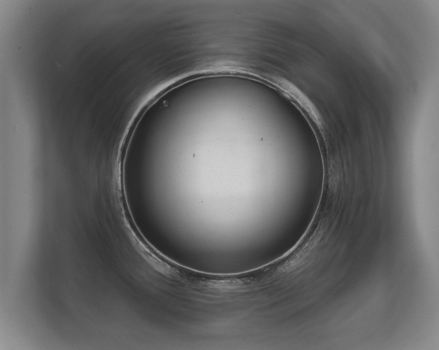 X0000112181388200908141317