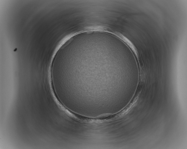 X0000112181389200908141317