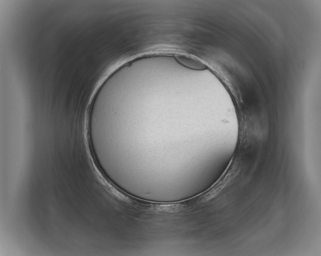 X0000112181390200908141317