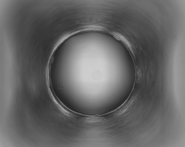 X0000112181391200908141317