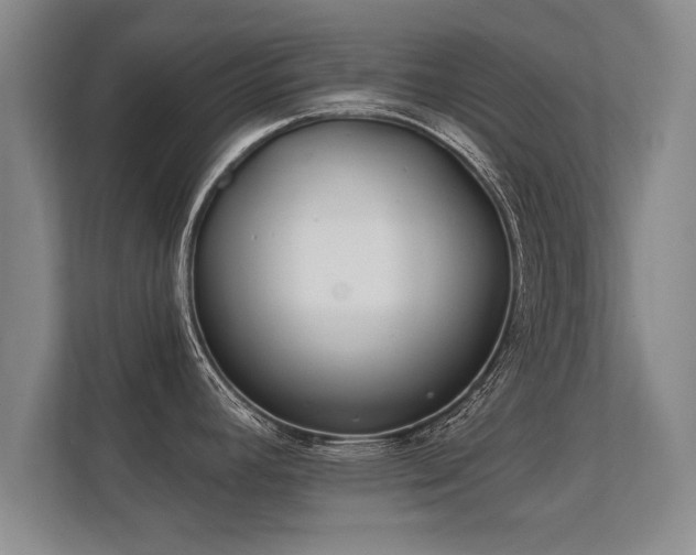 X0000112181392200908141317