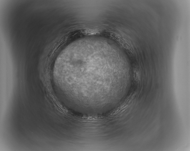 X0000112181393200908141316