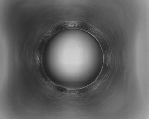 X0000112181394200908141316