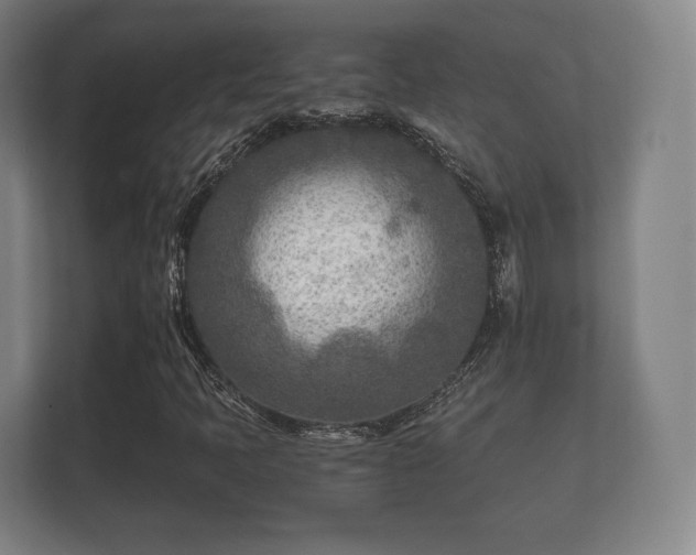 X0000112181397200908141316