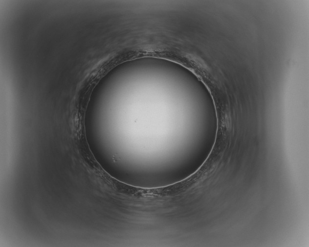 X0000112181398200908141316