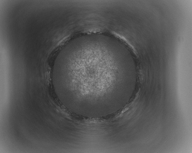 X0000112181399200908141316