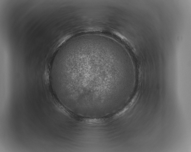 X0000112181401200908141316