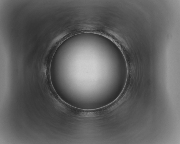 X0000112181402200908141316