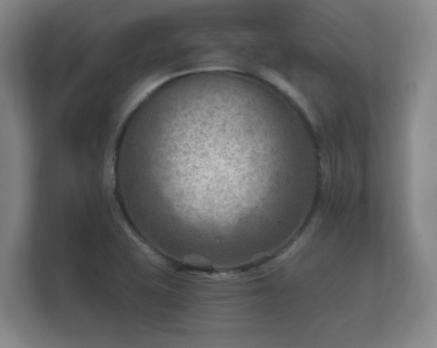 X0000112181415200908141316