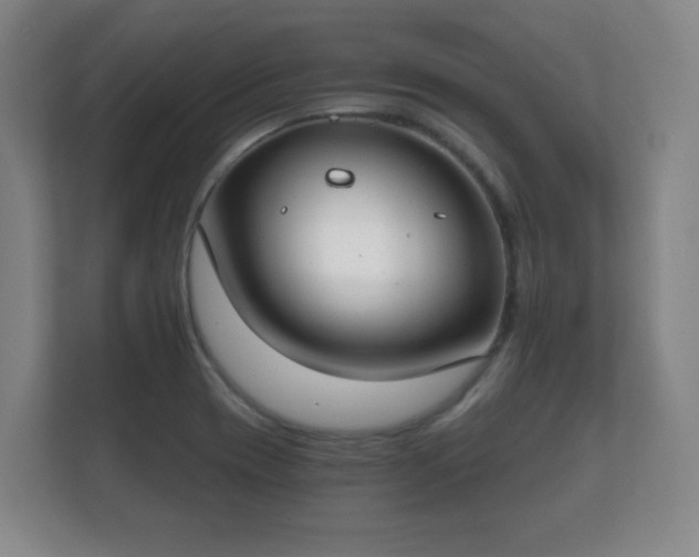 X0000112181417200908141316