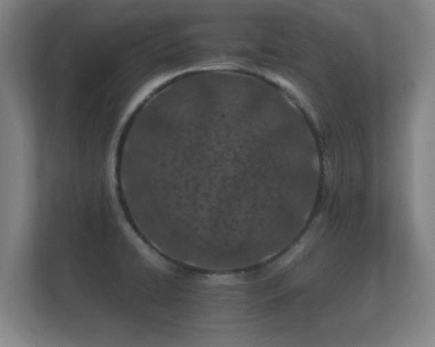 X0000112181422200908141317