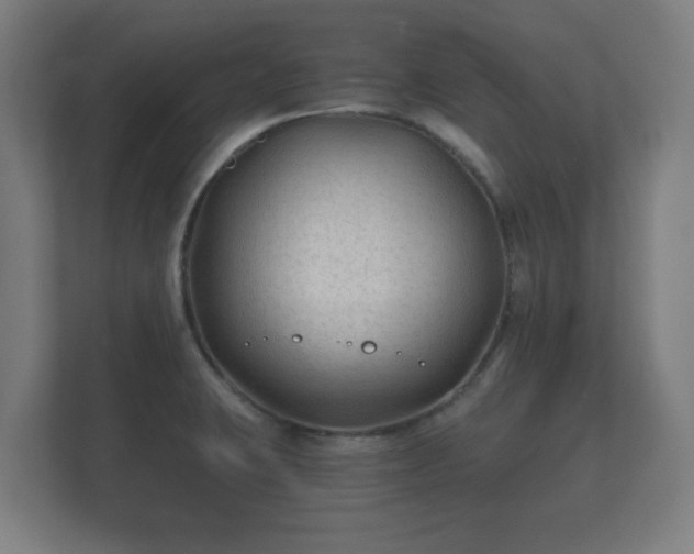 X0000112181423200908141317