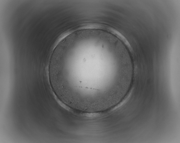 X0000112181425200908141317