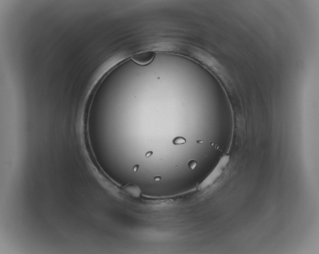 X0000112181426200908141317